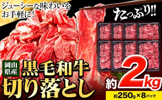 牛肉 肉 黒毛和牛 切り落とし 訳あり 大容量 小分け 2kg 250g × 8《30日以内に出荷予定(土日祝除く)》岡山県産 岡山県 笠岡市 お肉 にく カレー 牛丼 切り落し 切落し---kasaoka_zsy_114_2kg---