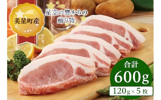 A-12ローステキカツ(120g×5枚)【美星町産豚肉】