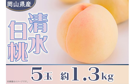 岡山県産 清水白桃5玉（約1.3kg）【26年7月下旬以降に順次発送】