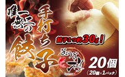 唯一無二の手打ち餃子20個（20個×1パック）餃子1つ約30g！【ぎょうざ楼】