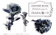 ＤＥＮＩＭ　ＲＯＳＥ - IBARA/藍バラ -  プラチナシルバー