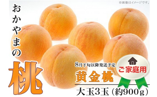 【ご家庭用】おかやまの「黄金桃」 大玉3玉（約900g）【26年8月下旬以降に順次発送】