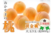 【ご家庭用】おかやまの「黄金桃」 大玉3玉（約900g）【26年8月下旬以降に順次発送】