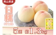 岡山県産 白桃5玉（約1.3kg）【26年7月上旬以降に順次発送】