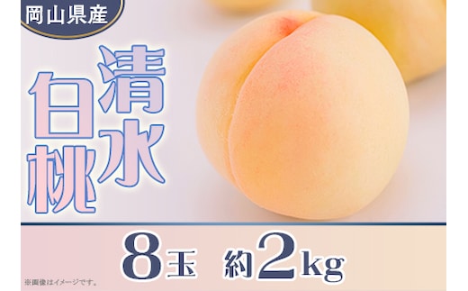 岡山県産 清水白桃８玉（約2.0kg）【26年7月下旬以降に順次発送】