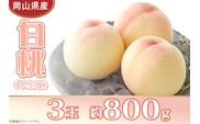 岡山県産 白桃3玉（約800g）【26年7月上旬以降に順次発送】