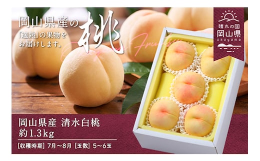 岡山県産「清水白桃」約1.3kg（5～6玉）【26年7月上旬以降に順次発送】