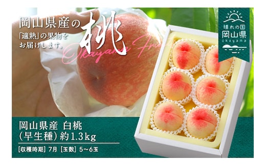 岡山県産「白桃（早生種）」約1.3kg（5～6玉）【26年7月上旬以降に順次発送】