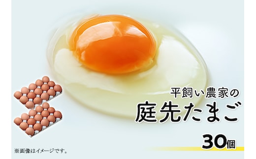 平飼い農家の庭先たまご 30個