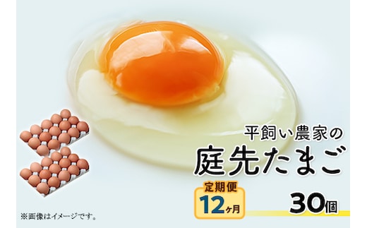 平飼い農家の庭先たまご 30個 × 12回【12ヶ月連続お届け】