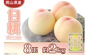 岡山県産 白桃8玉（約2.0kg）【26年7月上旬以降に順次発送】