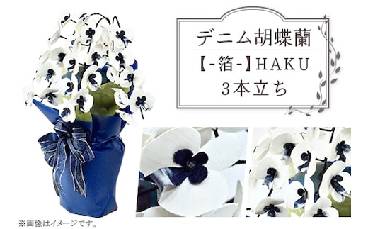 【デニム胡蝶蘭】 -箔- 3本立ち