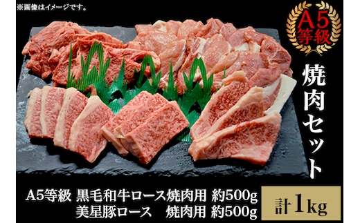 焼肉セット1kg（4～5人用）A5等級 黒毛和牛ロース 約500gと美星豚ロース 約500g 岡山県産