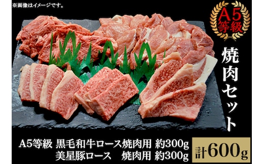 焼肉セット600g（2～3人用）A5等級 黒毛和牛ロース 約300gと美星豚ロース 約300g 岡山県産