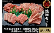 焼肉セット600g（2～3人用）A5等級 黒毛和牛ロース 約300gと美星豚ロース 約300g 岡山県産