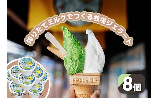 搾りたてミルクでつくるジェラート8個セット（徳山牧場アイス工房）