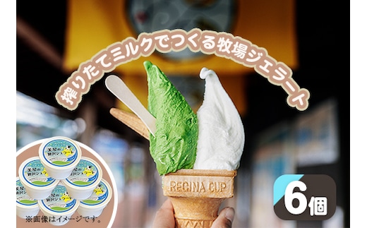 搾りたてミルクでつくるジェラート6個セット（徳山牧場アイス工房）