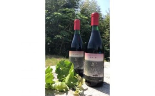 E-17 美星町産ワイン 赤ワイン２本セット 嘉作