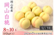 74-10 白桃8～10玉（2kg以上）【2026年7月上旬～8月上旬頃発送予定】