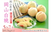 74-14 白桃5～7玉（夢白桃もしくは白麗）【2026年7月下旬～8月上旬発送予定】