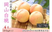 74-09 白桃4～5玉（1kg以上）【2026年7月上旬～8月上旬頃発送予定】