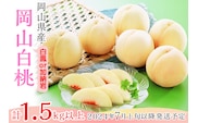 74-13 白桃5～7玉（白鳳もしくは加納岩）【2026年7月上旬～7月中旬発送予定】