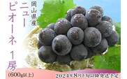 74-11 ニューピオーネ1房（600g以上）【2026年8月下旬～9月下旬頃発送予定】