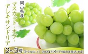 74-19 マスカット･オブ･アレキサンドリア2～3房（計1kg以上）【2026年8月下旬～9月下旬発送予定】