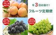 フルーツ 定期便 年3回 2026 先行予約 岡山 晴王 シャインマスカット 黒ぶどう 白桃 旬 果物 岡山県産 ブドウ もも くだもの お楽しみ定期便