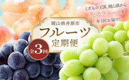 フルーツ 定期便 年3回 2026先行予約 岡山 シャインマスカット 晴王 黒ぶどう 白桃 旬 果物 岡山県産 ブドウ もも くだもの お楽しみ定期便
