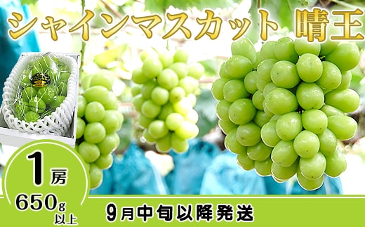 シャインマスカット晴王1房【2026年9月中旬～10月下旬発送予定】（いばら愛菜館）