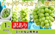 【訳あり】シャインマスカット晴王1房【2026年9月中旬～10月下旬発送予定】（いばら愛菜館）