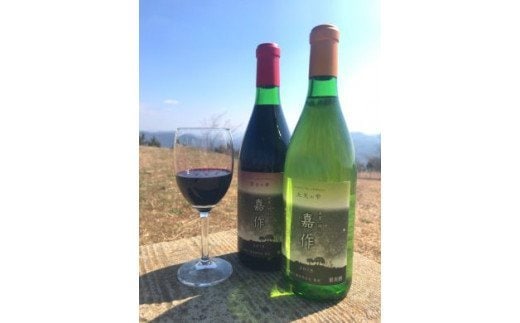 E-16 美星町産ワイン 赤・白ワインセット 嘉作