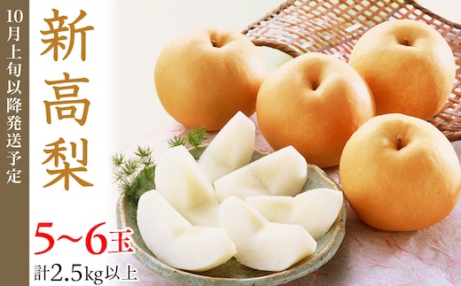 74-21 新高梨 5～6玉（2.5kg以上）【2026年10月上旬～下旬発送予定】
