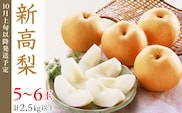 74-21 新高梨 5～6玉（2.5kg以上）【2026年10月上旬～下旬発送予定】