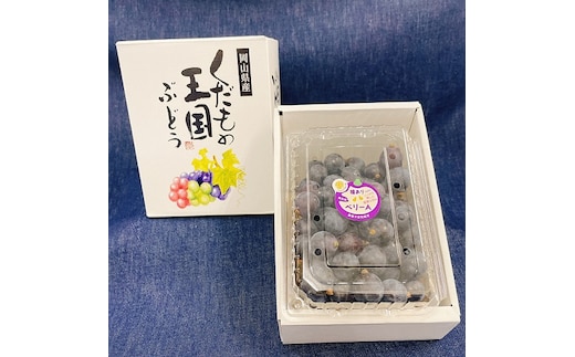 農薬：栽培期間中不使用 ベリーＡ 800g(バラ粒) ご家庭用