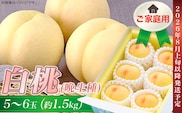 ご家庭用 白桃(晩生種) 5～6玉（約1.5kg）【26年8月上旬以降に順次発送】