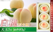 岡山の白桃（早生種）大玉3玉（約840g）【26年6月中旬以降に順次発送】