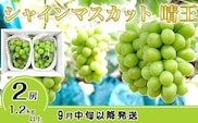 C-31シャインマスカット晴王2房【2026年9月中旬～10月下旬発送予定】（いばら愛菜館）