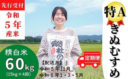 令和5年産米】特Aきぬむすめ【精白米】60kg定期便（15㎏×4回）岡山県