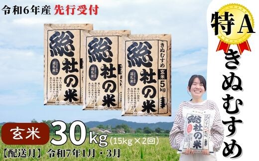 令和6年度きぬむすめ 30キロ玄米 (令和6年産米】特Aきぬ 令和6年度きぬむすめ 30キロ玄米 (令和6年産米】特Aきぬ