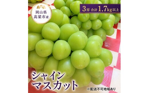 ぶどう シャインマスカット 3房 合計1.7kg以上 葡萄 フルーツ 岡山 高梁市産 こあに葡萄園 2026年 先行予約 果物類 ぶどう ブドウ 
