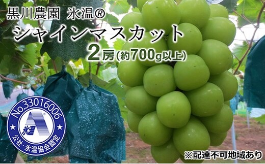 早期受付 ぶどう 氷温(登録商標) シャインマスカット 2房（1房700g以上） マスカット ブドウ 葡萄 岡山県産 国産 フルーツ 果物 ギフト 黒川農園 果物類 