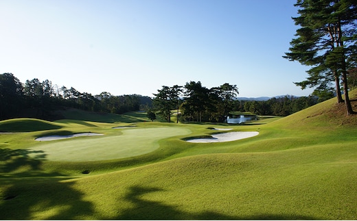 パインツリーゴルフクラブ 1名様平日プレー無料優待券（昼食付) ゴルフ場 利用券 優待チケット 丘陵 林間 コース 松林 自然 戦略的 スポーツ 趣味 ビジネス 社会人 