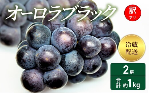 【2026年 先行予約】【訳あり品】 オーロラブラック2房 合計約1kg 冷蔵配送 ぶどう 葡萄 フルーツ 果物 岡山 岡山のぶどう 食後 デザート 産地直送 大粒 爽やか 食べやすい 