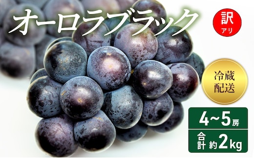 【2026年 先行予約】【訳あり品】 オーロラブラック 4～5房 合計約2kg 冷蔵配送 ぶどう 葡萄 フルーツ 果物 岡山 岡山のぶどう 食後 デザート 産地直送 大粒 爽やか 食べやすい 