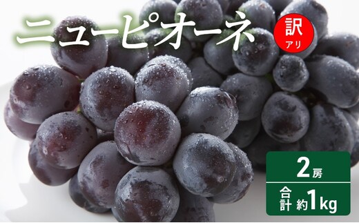  【2026年 先行予約】【訳あり品】 ニューピオーネ 2房 合計約1kg 常温配送 ぶどう 葡萄 フルーツ 果物 岡山 岡山のぶどう 食後 デザート 産地直送 大粒 食べ応え ちょうどよい甘さ 種無し 