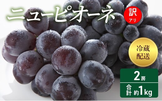 【2026年 先行予約】【訳あり品】 ニューピオーネ 2房 合計約1kg 冷蔵配送 ぶどう 葡萄 フルーツ 果物 岡山 岡山のぶどう 食後 デザート 産地直送 大粒 食べ応え ちょうどよい甘さ 種無し 
