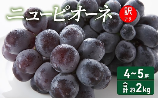 【2026年 先行予約】【訳あり品】ニューピオーネ 4～5房 合計約2kg 常温配送 ぶどう 葡萄 フルーツ 果物 岡山 岡山のぶどう 食後 デザート 産地直送 大粒 食べ応え ちょうどよい甘さ 種無し 