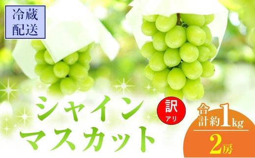【2026年 先行予約】【訳あり品】シャインマスカット 2房 合計約1kg 冷蔵配送 ぶどう 葡萄 フルーツ 果物 岡山 岡山のぶどう 岡山の果物 食後 デザート 産地直送 大粒 皮ごと 種無し 